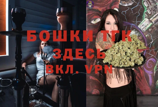 индика Мегион
