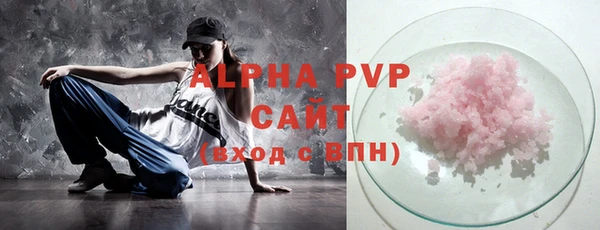 индика Мегион