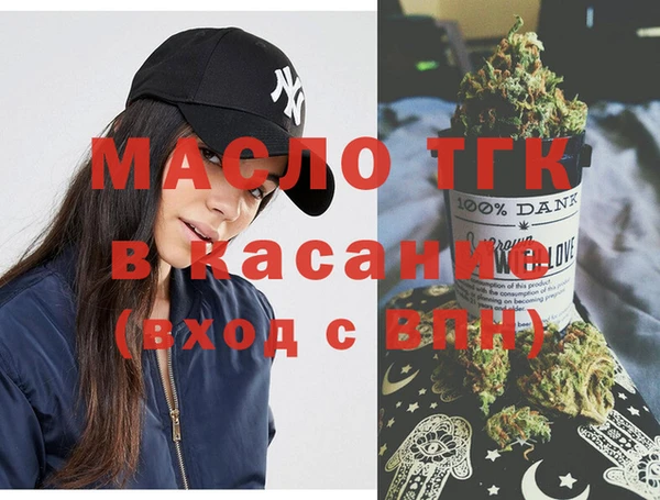 индика Мегион