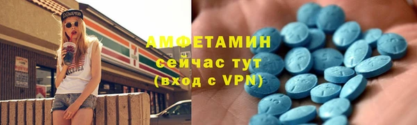 индика Мегион
