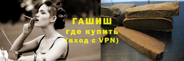 индика Мегион