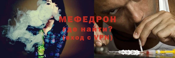 индика Мегион