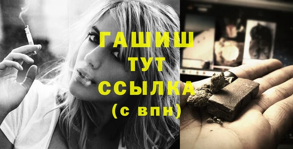 индика Мегион