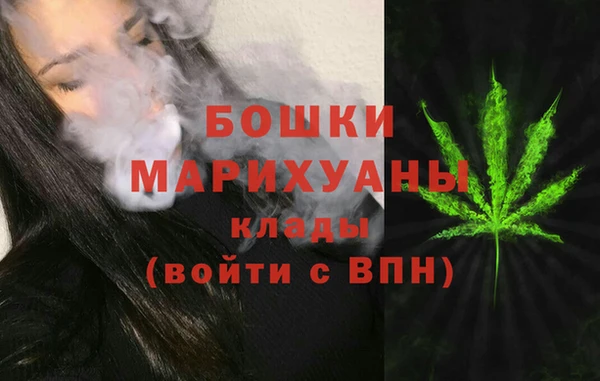 индика Мегион