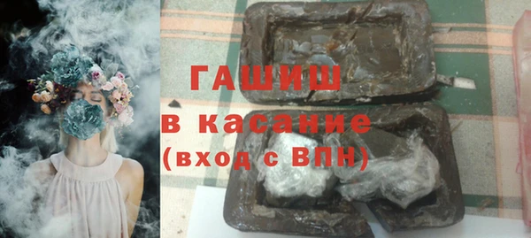 индика Мегион