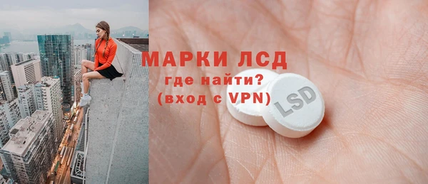 индика Мегион