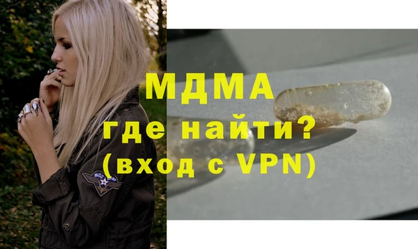 индика Мегион