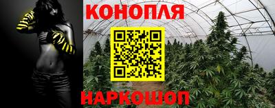 прущие крисы Будённовск